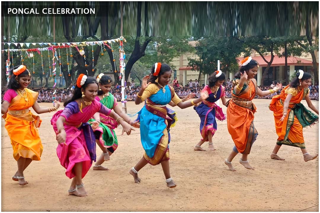 Celebration Image 15
